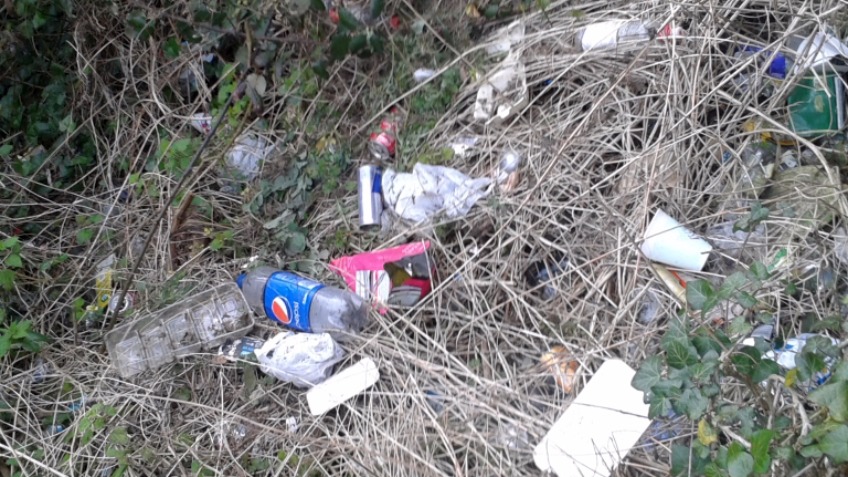 Litter pick in Kent roadside verges