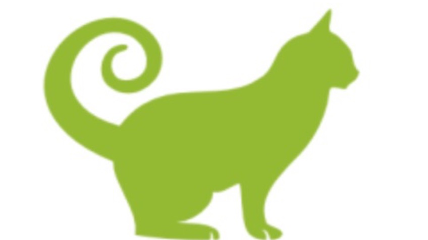 Cat Caf Cheltenham a crowdfunding project in Cheltenham Cat Caf Cheltenham a crowdfunding project in Cheltenham