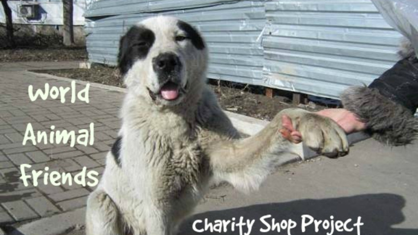 World Animal Friends Charity Shop