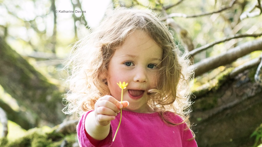 Help Re-wild a Child! Help Build the WildHub