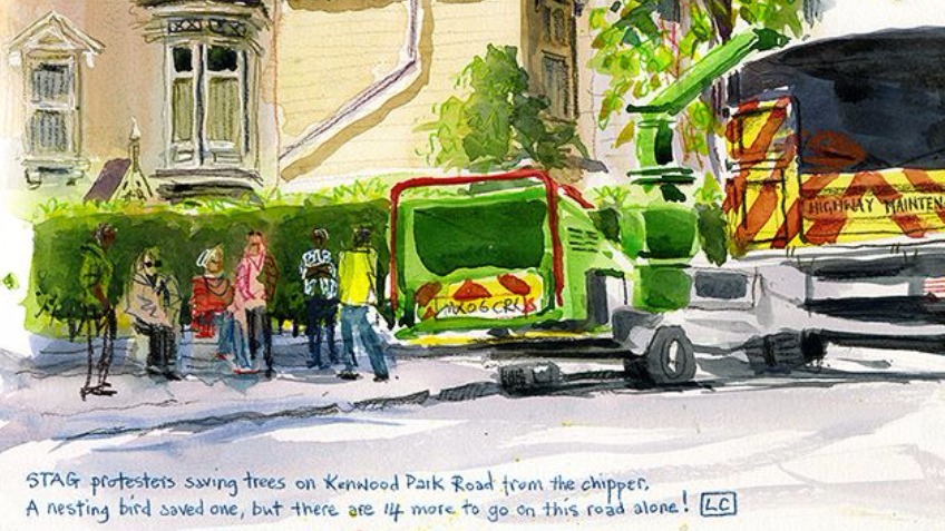 Sheffield Street Trees Legal Fund Continuation