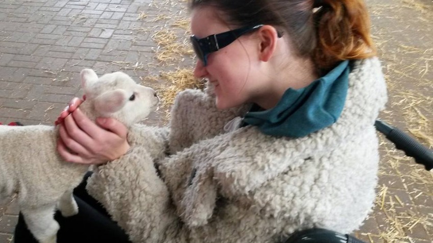 Mollie's Wheelchair Fund