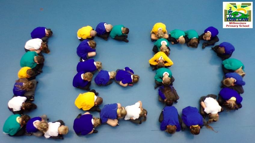 Tow Law Millennium Primary School - LED Lighting