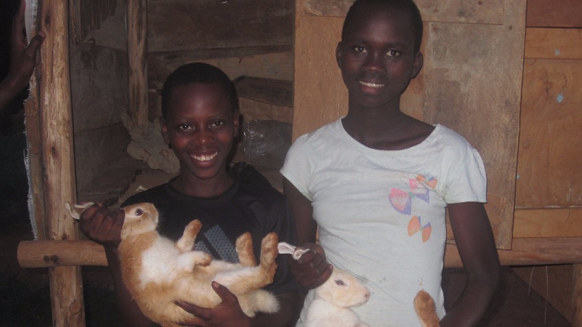 Raising Rural Rabbits in Uganda