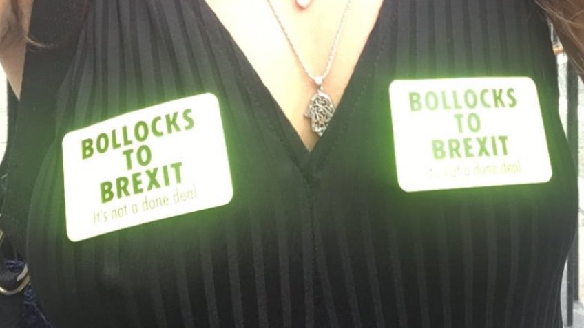 Bollocks To Brexit Stickers