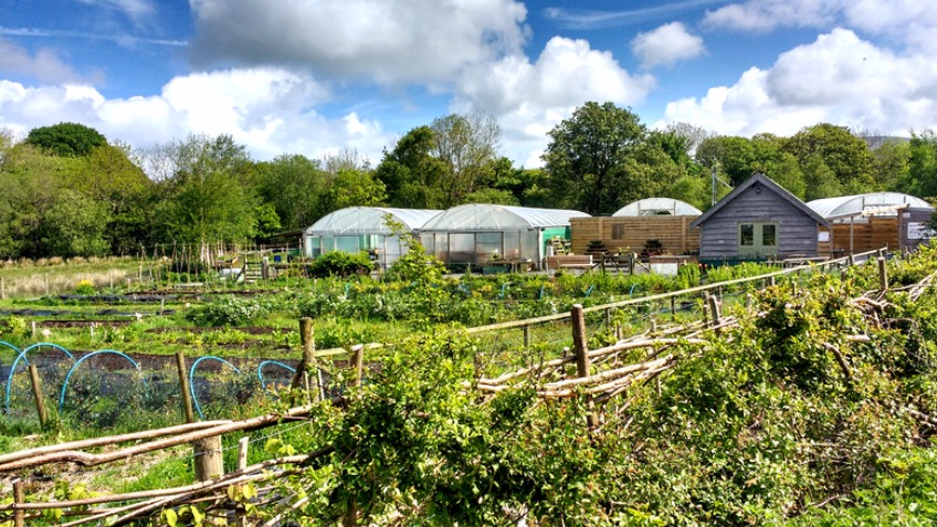 Blas Lôn Las - A Community Farm Shop and Cafe
