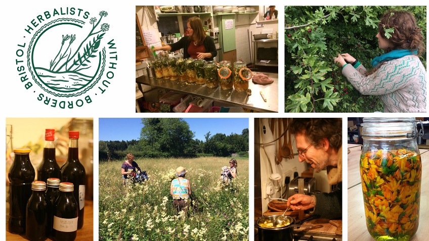 Herbalists Without Borders Bristol
