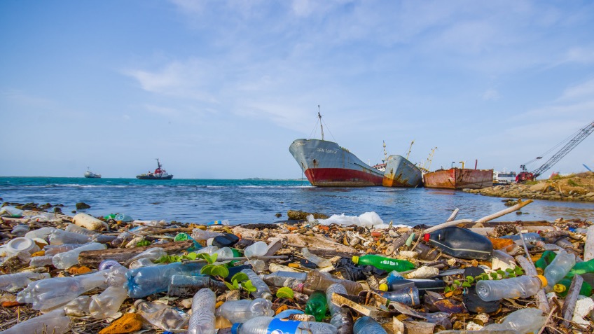 Plastic pollution