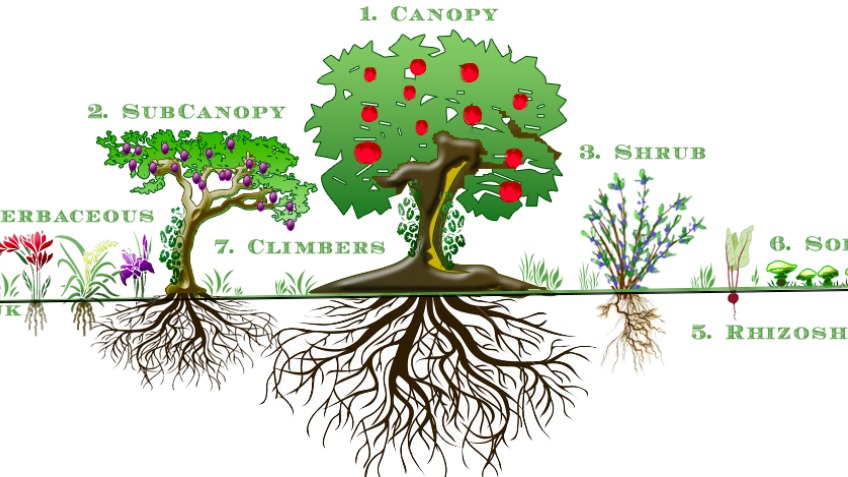 Trees for life at Cortijo Verde