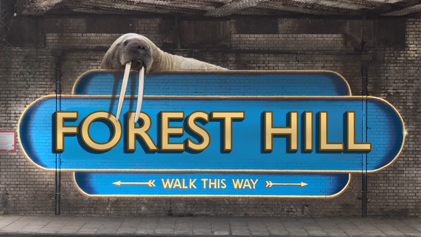A Better Welcome to Forest Hill