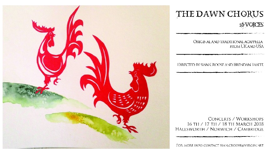 The Dawn Chorus