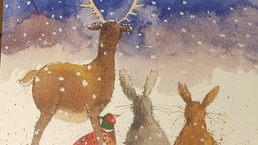 Help save Christmas