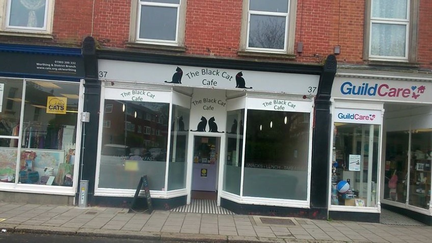 The Black Cat Cafe a Food and Drink Crowdfunding Project The Black Cat Cafe a Food and Drink Crowdfunding Project