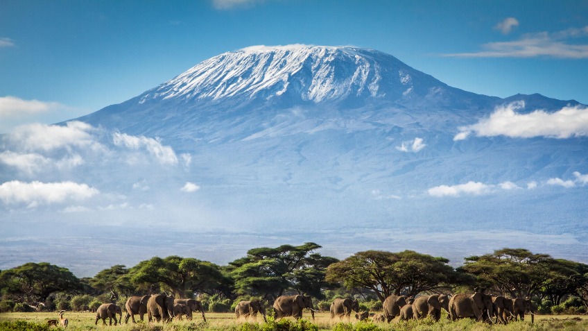 Charity Climb of Mount Kilimanjaro