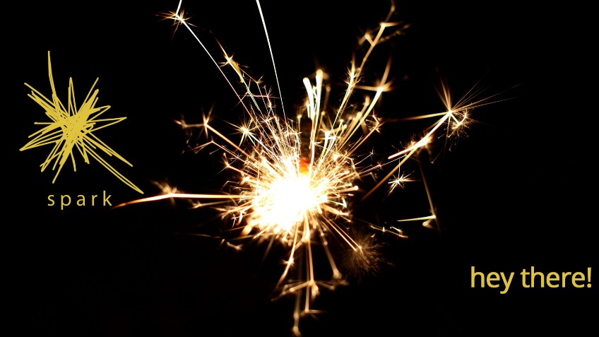 Spark Peer Support Group