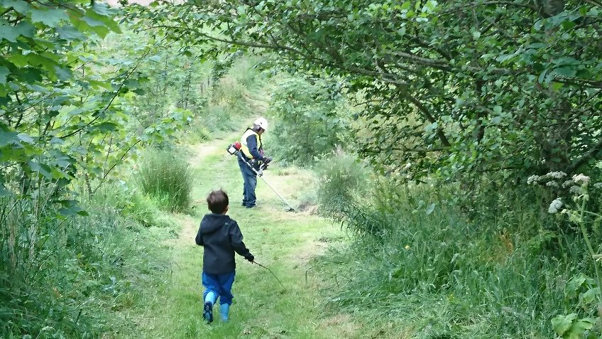 Cove Woodland Trust