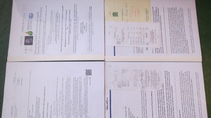ClimateChangePreventionJudicialReviewSeedFund