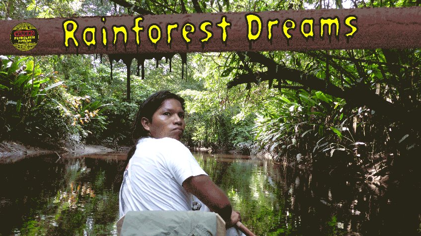 Rainforest Dreams?
