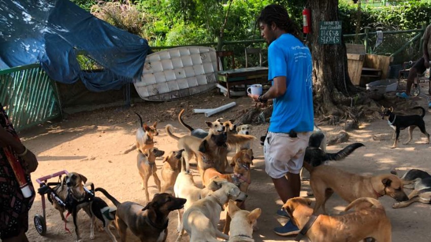 Animal shop rescue centre