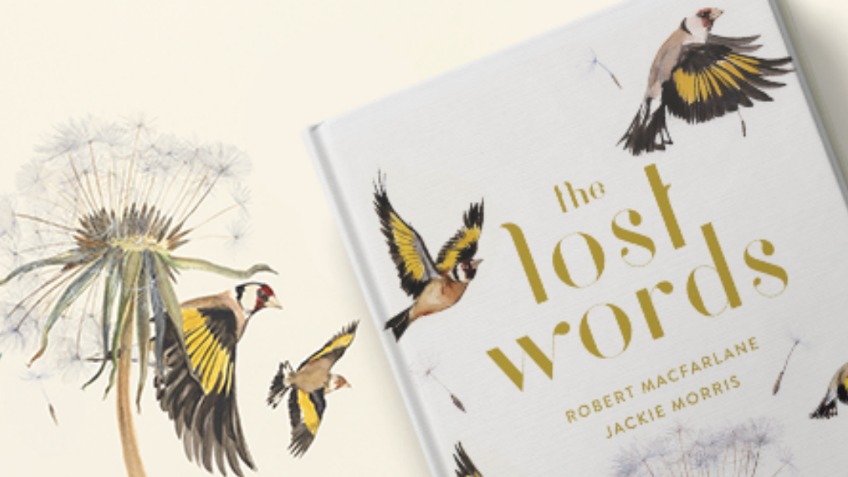 The Lost Words for Lambeth & Wandsworth schools