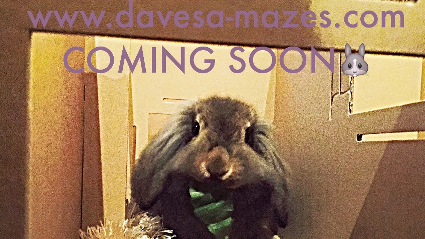 Dave's A-mazes