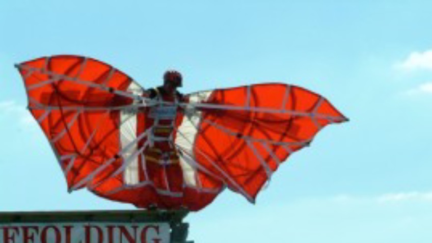 Bognor Regis Birdman