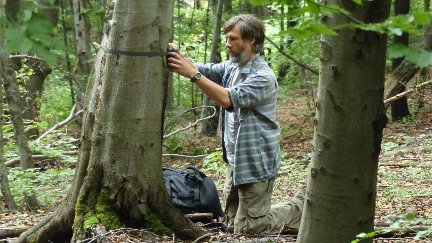 Rare Mammal Survey North Wales