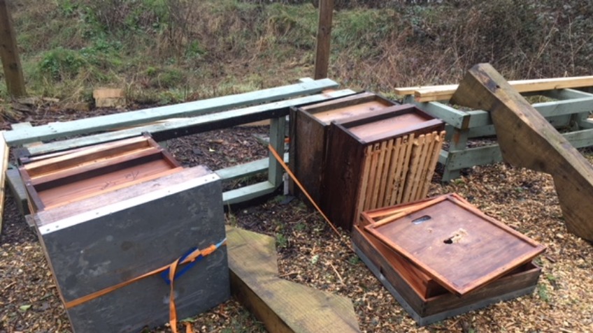 Scotswood Natural Community Garden