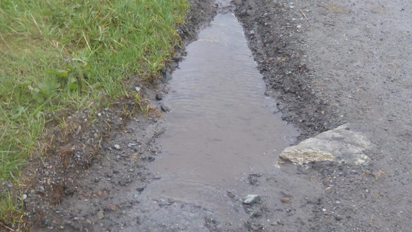 Freshfields Horse Track Resurfacing