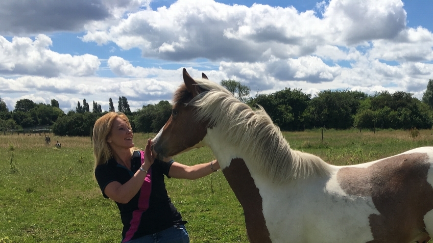 Major Equestrian