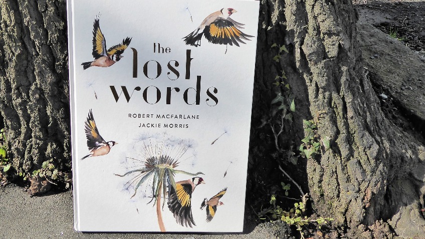 The Lost Words for every Sheffield Primary School