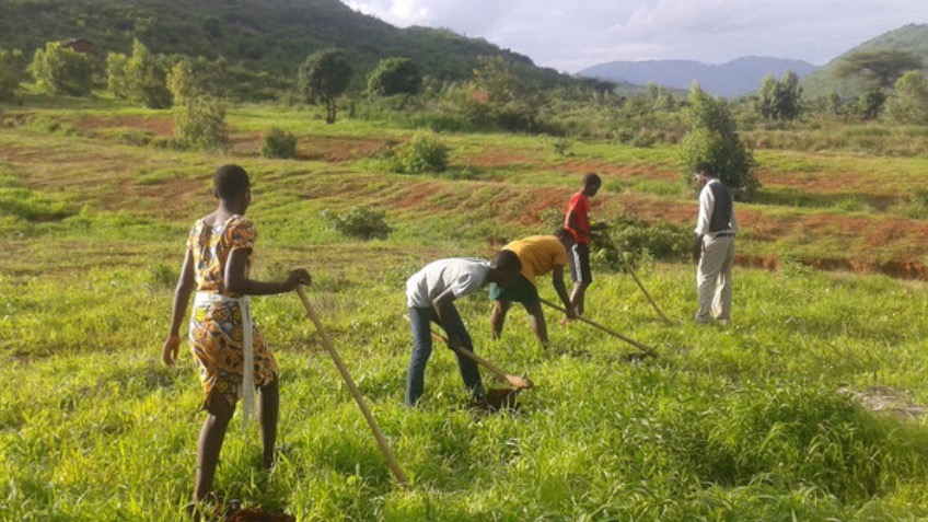 Reforestation initiative in Malawi