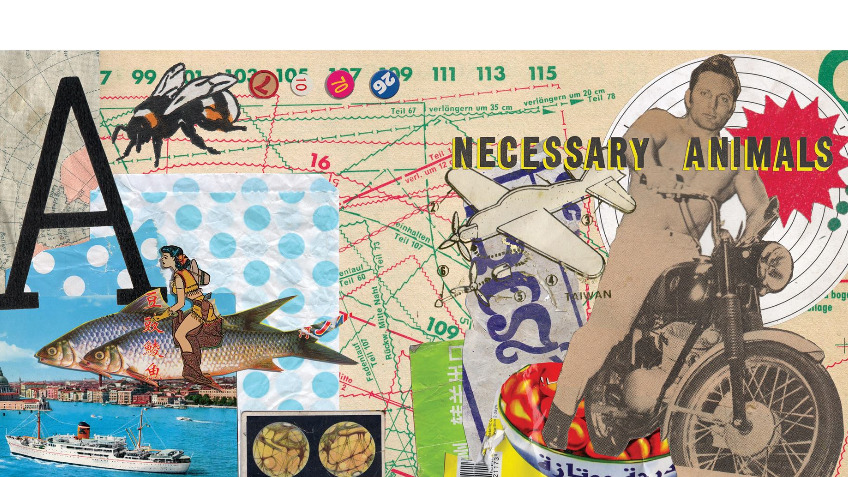 Necessary Animals