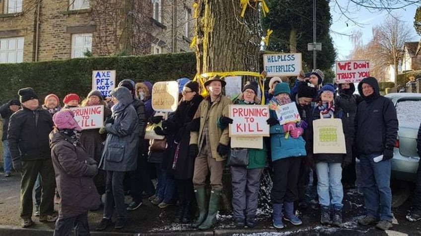 Sheffield Street Trees Legal Fund 2018 3
