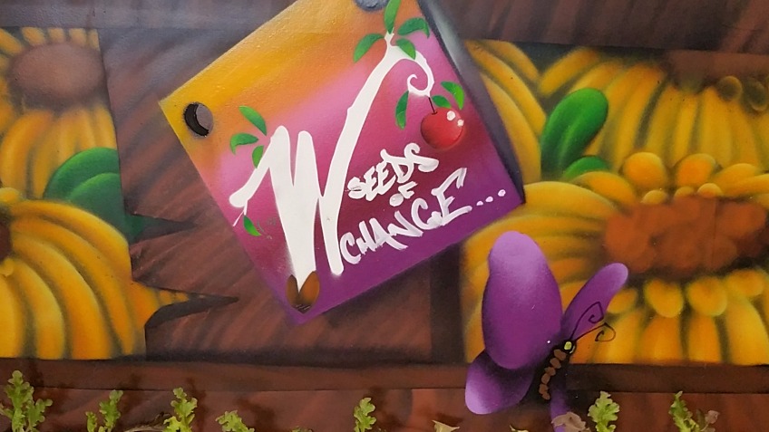 Wilberforce College Seeds of Change