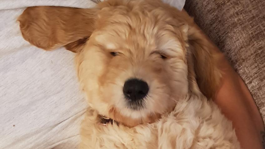 Give Winnie Her Eyesight!