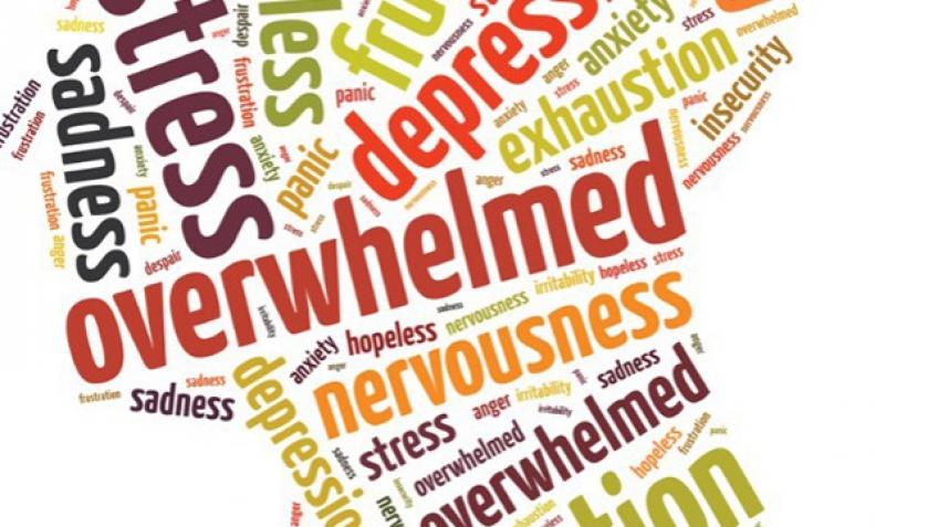 Fortismere Sixth Form Counselling Support