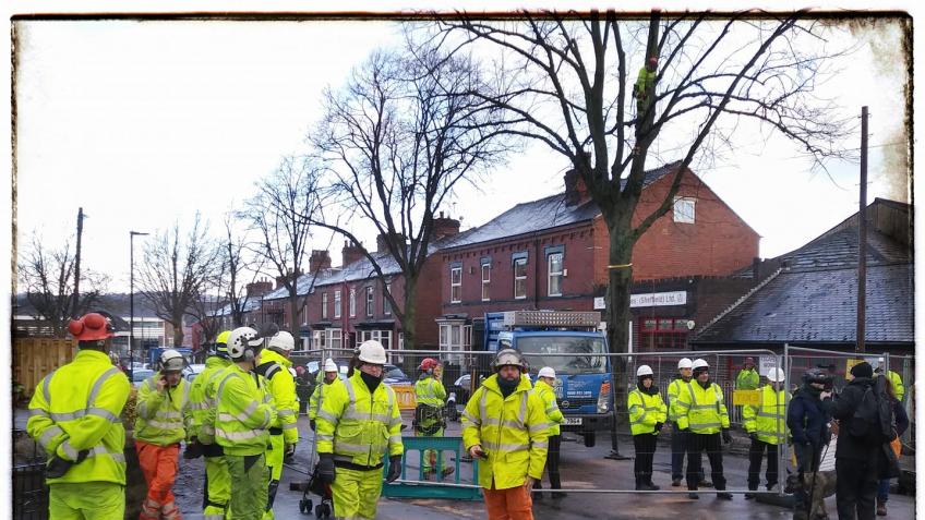 Sheffield Tree Protectors' Court Costs