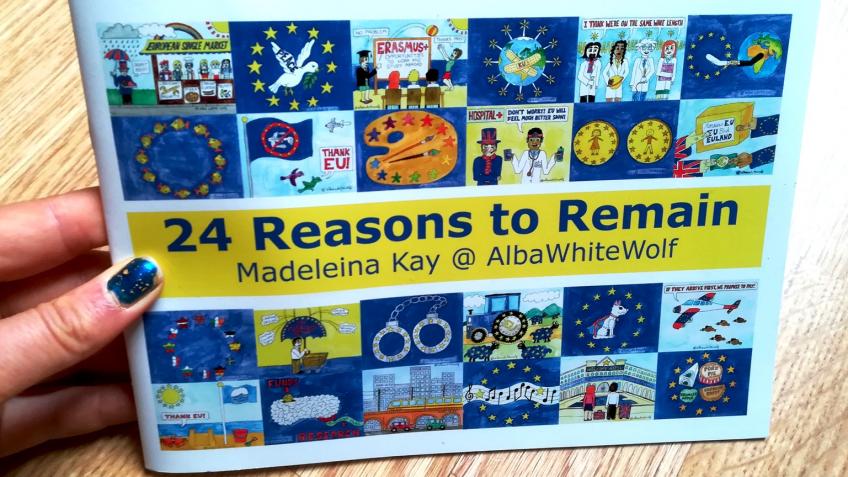 24 Reasons to Remain Booklets