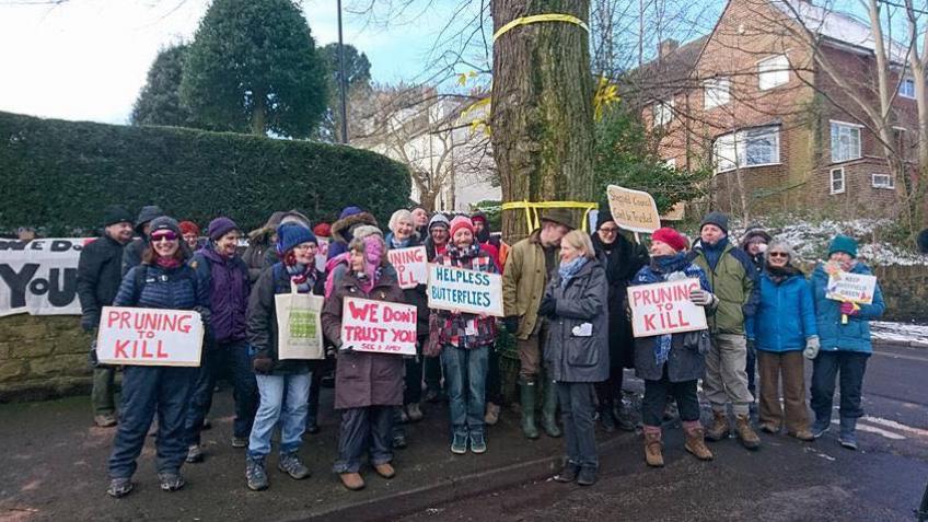 Sheffield Street Trees Fighting Fund