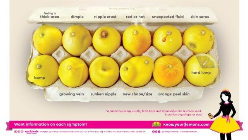 Know Your Lemons Wales
