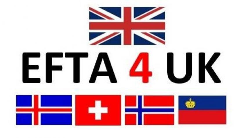EFTA4UK - say NO to no deal brexit