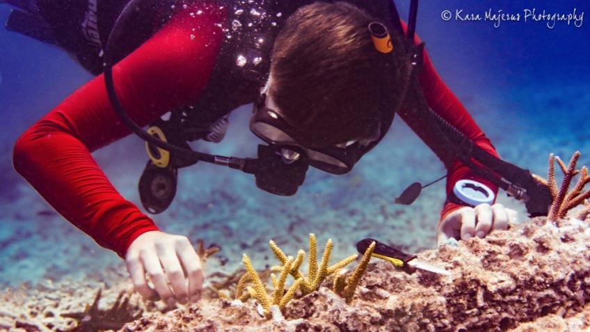HELP US BUILD OUR MARINE CONSERVATION FACILITY!