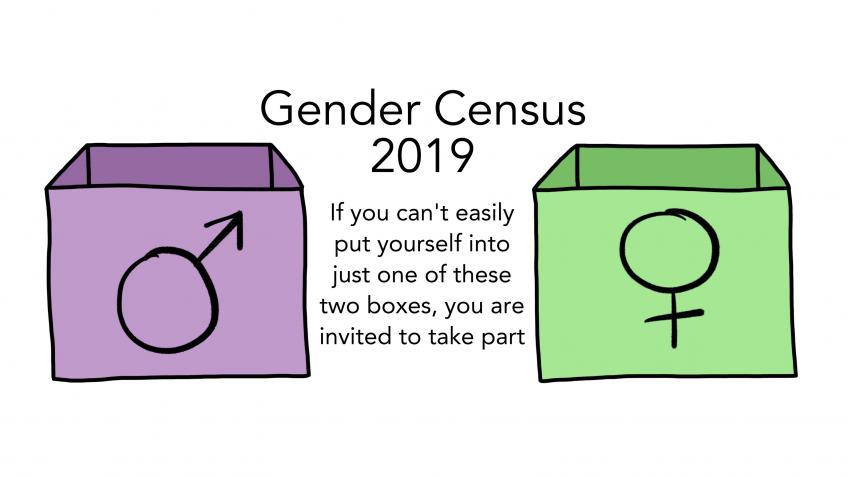 Gender Census 2019