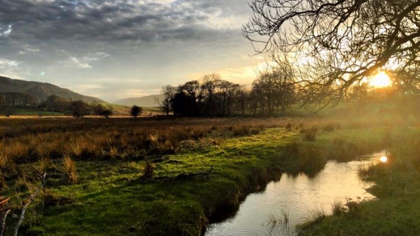Helping Nature in Matterdale
