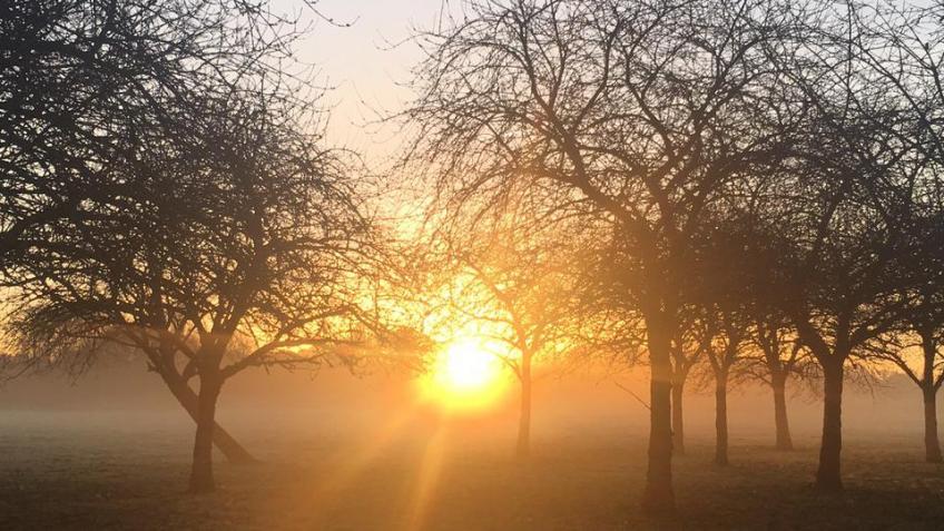 Coaches Beyond Borders: End Loneliness in Nature