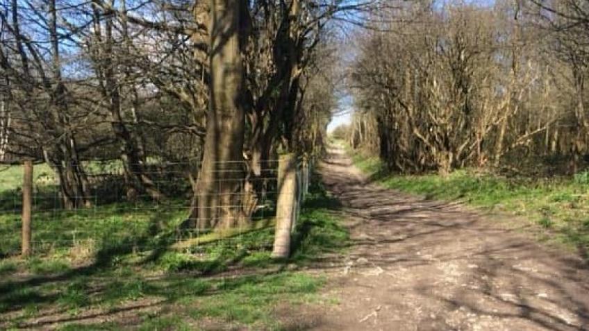 Bevendean & Moulsecoomb Nature Trail