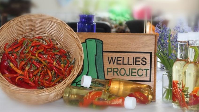 A Therapeutic Garden for the WELLIES Project