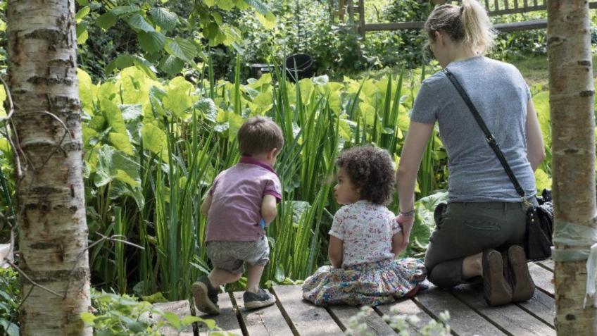Save Mortimer Terrace Nature Reserve
