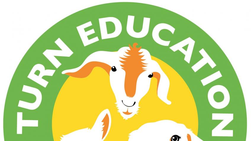 Connecting Families: A TURN Community Project